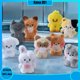 thumbnail image 1 of LLavero de juguete de felpa corta suave de algodón PP relleno de muñeca Kpop ZB1, llavero de dibujos animados Zeroni, lindo colgante de muñeca, accesorios de bolsa, 1 of 5