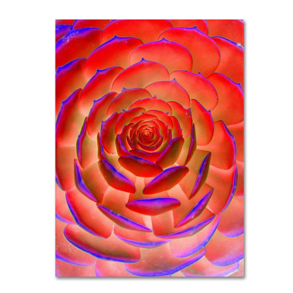 Trademark Fine Art "Plant Art" Canvas Wall Art by Patty Tuggle