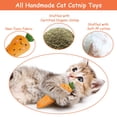 thumbnail image 2 of Masticador Catnip Toys ETEKYER para gatos, limpieza de dientes en interiores, 2 of 6