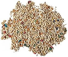 Premium Parakeet Food, 5 lb Jar