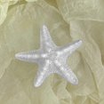 thumbnail image 4 of Stable Grip Hair Clip 5pcs Girls Hairpin Set with Starfish Shape Hair Clip Stable Grip Macaron Colors Trendy Summer Hair for Beach for Women, 4 of 8