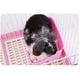 thumbnail image 4 of Caja de arena para conejos fácil de limpiar, para entrenamiento para ir al baño, para animales pequeños, conejos, cobayas y hurones (rosa), 4 of 4