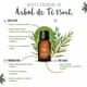 thumbnail image 4 of Kit de Aceites Esenciales OLEUM VITAE Orégano y Árbol De Té 15ml, 4 of 4