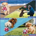 thumbnail image 3 of Pelota de fútbol de juguete para perros Diman con correas para perros pequeños (12,7 cm), 3 of 7