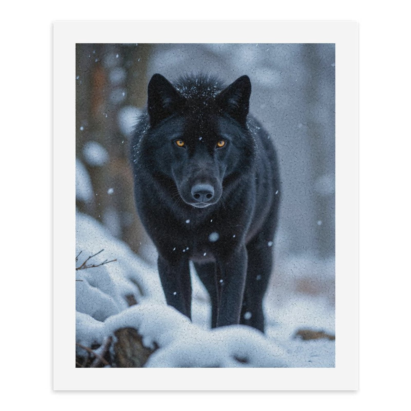 Paint by Numbers Kit for Adults, Snowy Black Wolf Gaze Paint by Numbers, Easy Paint by Numbers Kit for Adults Beginner, DIY Adult Paint by Number Kits on Canvas, Home Decor