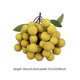 thumbnail image 4 of Artificial Fruit Model ,Realistic, Decoration, Lifelike Simulation Fake Fruit for Restaurant Kitchen Farmhouse Harvest, 4 of 5