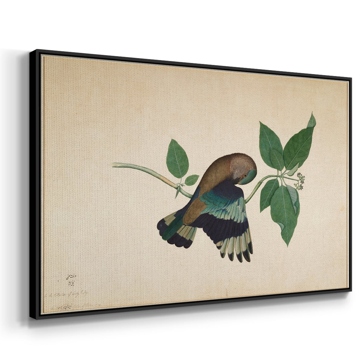 Vintage Animal Print-XXII By Wexford Home Framed in Black Wood Gallery Wrapped Canvas 17 in. x 25 in.