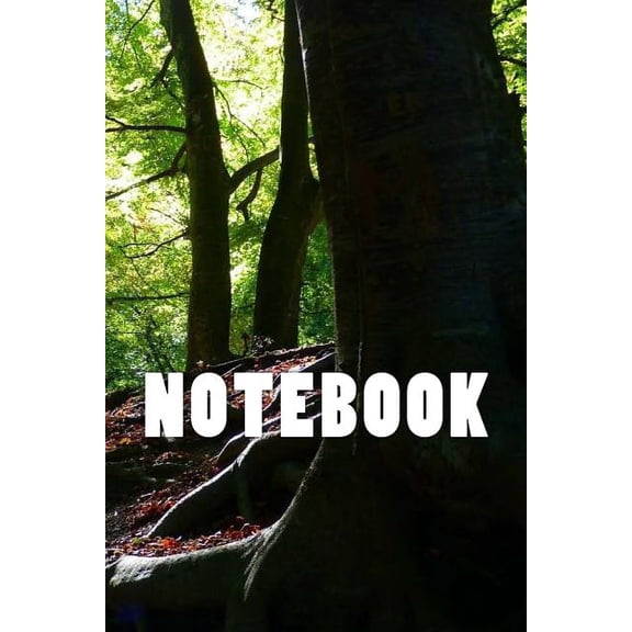 Notebook: Forest (Paperback)