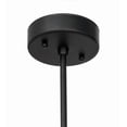 thumbnail image 2 of Meyda Tiffany 177796 Silo 4" Wide Mini Pendant - Wrought Iron, 2 of 7