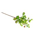 thumbnail image 2 of 10Pcs Fake Artificial Flowers Berries Branches Picks Blueberry Fruit for Christmas Home Hotel Decorations, 9.84Inch, 2 of 5