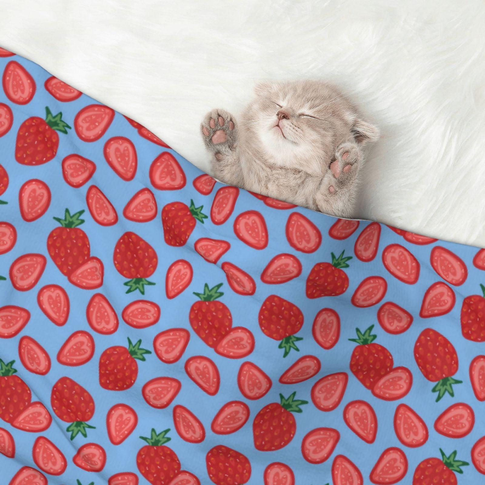 Naloa Strawberries Dog Blanket, 3 Sizes Cat Blanket for Indoor Cats Large Medium Small Dog Gifts-Small