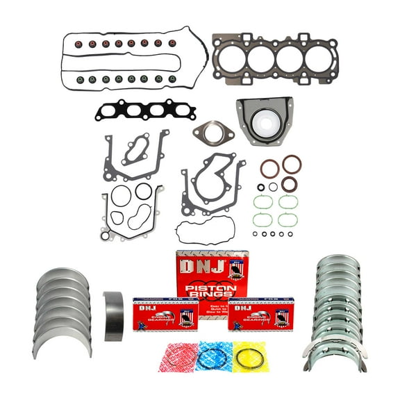DNJ RRK4313 Engine Re-Ring Kit Fits Cars & Trucks 2011-2019 Ford Fiesta 1.6L L4 16V DOHC 1596cc