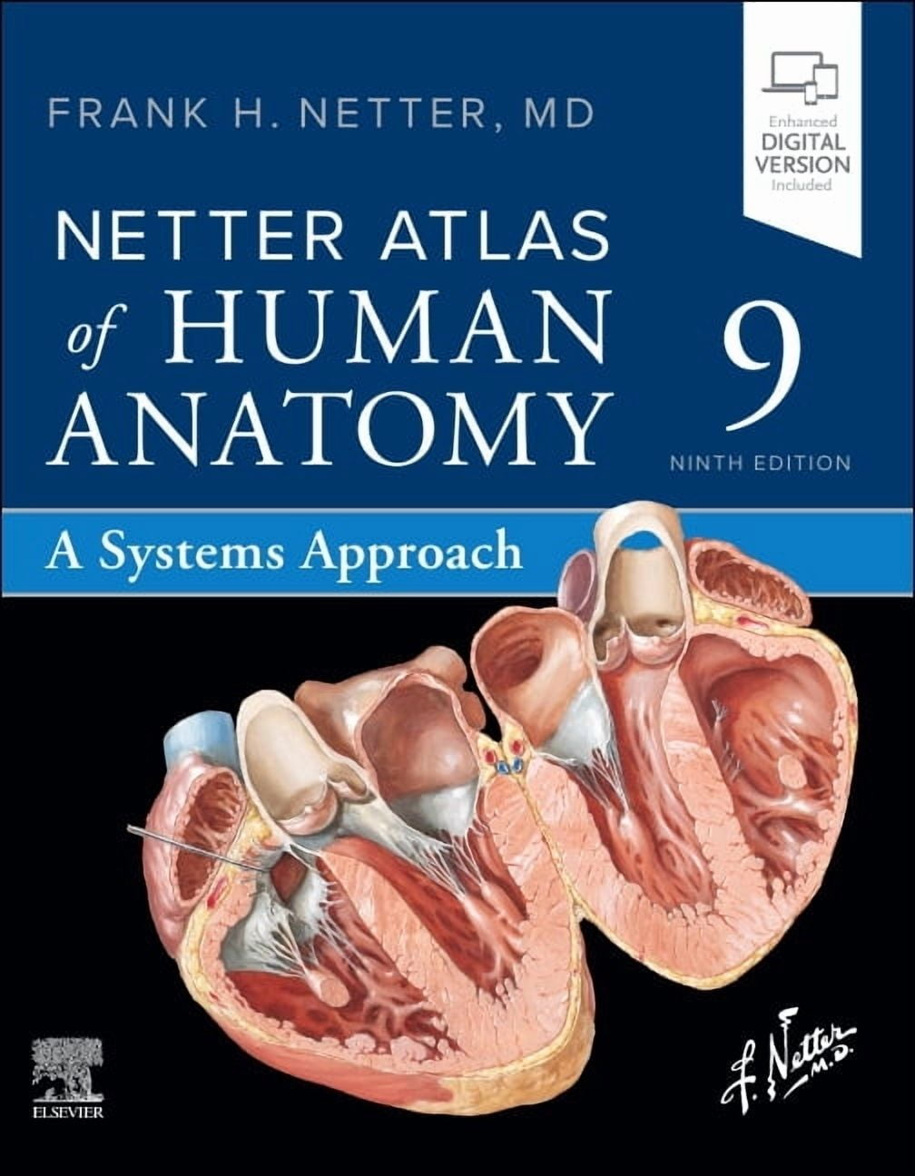 Atlas of Neurosurgical Anatomy: The Pterional Perspective