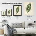 thumbnail image 3 of Vintage Botanical Tiger Plant Leaf Fawcett Framed Wall Art Print 12X16", 3 of 4