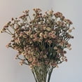 thumbnail image 4 of 62CM/pc 81 High Quality Small Flowers Autumn Color Feel Soft Rubber Gypsophila Dry Flower 6 Color PVC Bouquet Home Garden Decor, 4 of 10
