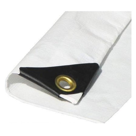 20'X20' 12 mil White Tarp Extra Heavy Duty 3 Ply Reinforced Canopy 6 oz 3 Layer (Finished Size 19'.6 x 19'.6)
