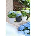 thumbnail image 3 of Mainstays Basic Bell Planter 6in Black, Classic Design with Attached Tray Durable Weather Resistant Matte Finish, 3 of 3
