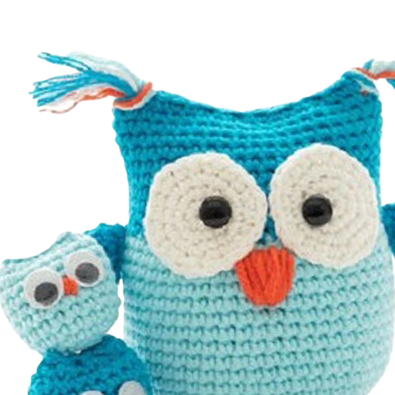 Wxqbjtam 2pcs Beginner Crochet Kit Needlework Craft Complete Crochet Kit Bundle Includes Blue Pink