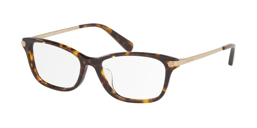 coach 6142 eyeglasses