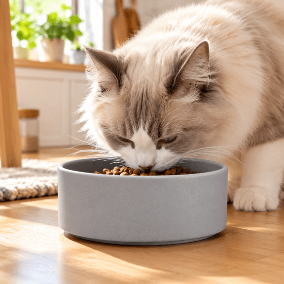 Gray Ceramic Pet Feeding Bowl for Cats Kittens Small Dogs - Non-Slip with Silicone Base, Dishwasher Microwave Safe, Modern Design
