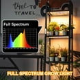 thumbnail image 6 of Rosnek Full Spectrum LED Grow Lights for Indoor Plants, 6 Dimmable Levels with Timer, USB Under Cabinet Plant Lights for Indoor Growing, Seedlings, Veg, Flowers, 6 of 7
