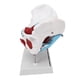 thumbnail image 5 of Modelo De Anatomía De Pelvis Femenina, Modelo De Pelvis Femenina De Color De Estructura Clara De Alta Simulación Para Enseñanza Clínica, 5 of 7