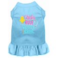 thumbnail image 1 of Chicks Rule Screen Print Dog Dress Baby Blue Xl (16), 1 of 1