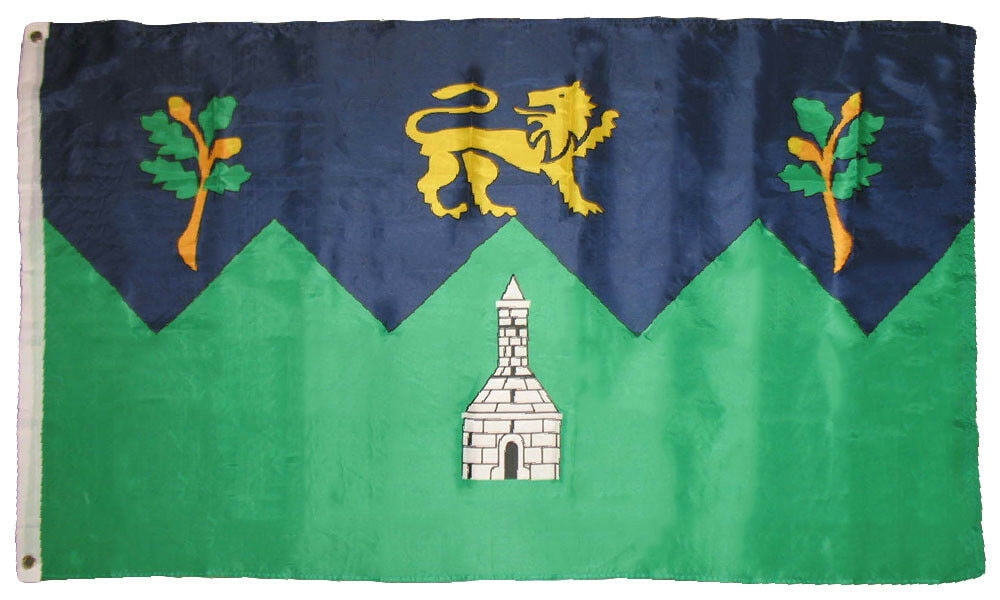 Wicklow County Irish Ireland Flag 3 X 5 3x5 Feet Polyester New 