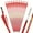 NJHB-YCR, variant on 12pcs 20'' 22in Aluminum Arrows Vanes Archery Mini Bow Bolts Screw Broadheads Hunting