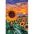 thumbnail image 1 of Sunflower 5D Diamond Painting Kit for Adult, DIY Diamond Painting Personalized Full Rhinestone Large, 1 of 5