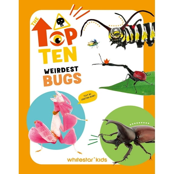 Top Ten Weirdest Bugs, (Hardcover)