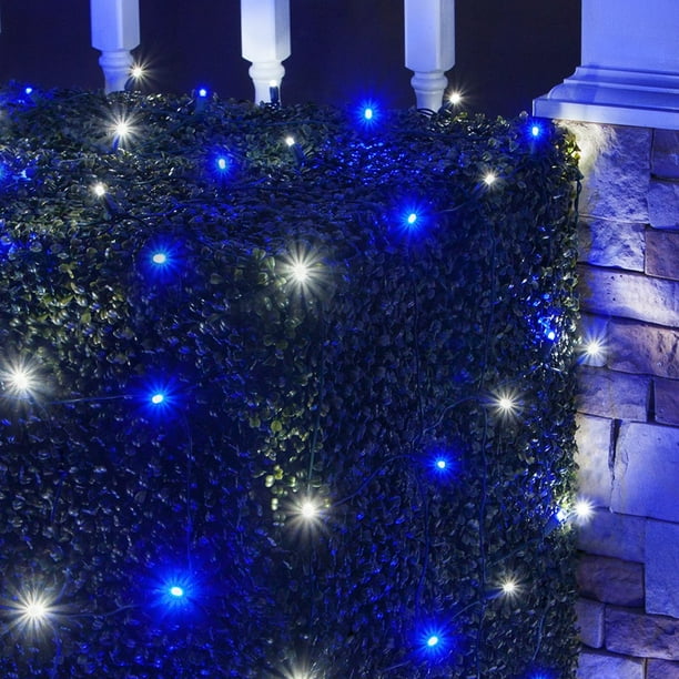 Wintergreen Lighting Blue and Cool White LED Net Lights Christmas Net