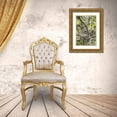 thumbnail image 3 of Grall, Don 17x24 Gold Ornate Wood Framed with Double Matting Museum Art Print Titled - Costa Rica Three-toed sloth rests in a tree, 3 of 4