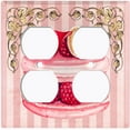 thumbnail image 3 of Metal Light Switch Plate Cover Elegant Raspberry Macaroon Cake Striped Wallpaper CAK049, 3 of 13