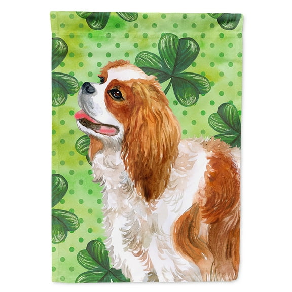 Carolines Treasures BB9837CHF Cavalier Spaniel St Patricks Flag Canvas House Size Large multicolor