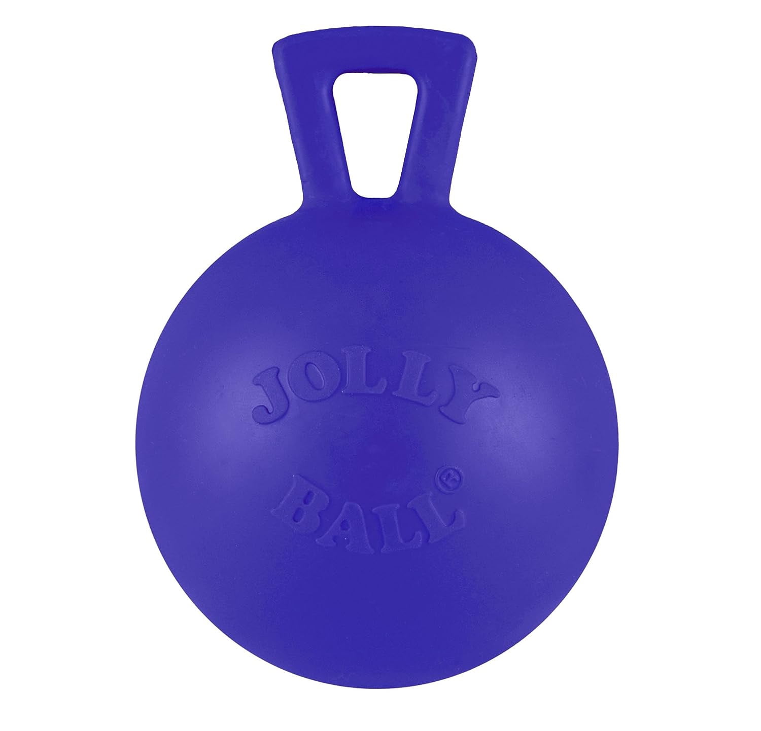 Tug-N-Toss Ball Dog Toy, 10 in.