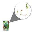 thumbnail image 2 of Semillas Menta Vita, 2 of 5