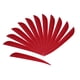thumbnail image 1 of 12 plumas de pavo de 5 pulgadas para cazar Rojo, 1 of 9