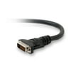 Belkin SALE DVI-D Dual-Link Cable, 10 feet, Black