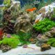 thumbnail image 4 of CRAFTHROU 12Ud Accesorio Acuario Mopa De Desove Para Peces Soporta Varias, 4 of 6