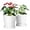 White, variant on BUYMAX Plant Pots Indoor –6 inch Ceramic Flower Pot with Drainage Hole and Ceramic Tray - Gardening Home Desktop Office Windowsill Decoration, Set of 2(Blue)