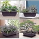 thumbnail image 5 of Juego de 6 macetas de entrenamiento para bonsái con bandeja, maceta cuadrada de plástico, maceta para plantas suculentas para jardín, sala de estar esquí esquí Gafas de esquí, 5 of 5