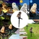 thumbnail image 5 of Luz de césped con , con para asustar pájaros, resina de protección IP44, lámpara de paisaje inconfundible para iluminación exterior, Marrón CUTICAT Luz de césped con forma de búho, 5 of 8