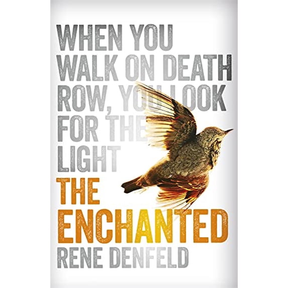 Pre-Owned Enchanted (Paperback) 1780226349 9781780226347