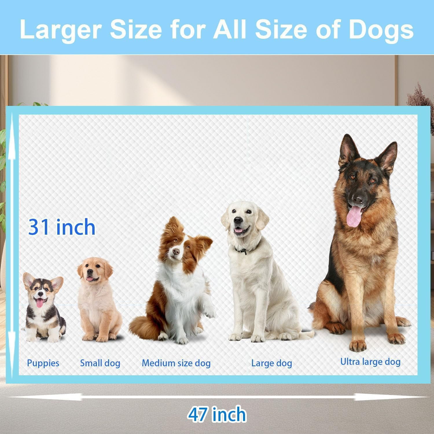 Puppy Extra Large for Dogs 31"x47" 40 Count, Leak-Proof & Super Absorbent Dog Pee Pads, Thicken Disposable Potty Puppy Training for Cats Rabbits