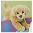thumbnail image 4 of Honey Golden Retriever Floppy - 23'' Dog By Douglas Cuddle Toys, 4 of 4