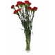 thumbnail image 2 of Clavel Colombiano Flor Natural Ramo de 20 tallos 65cm de alto - color :Rojo - Rojo, 2 of 5