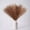 Dark Coffee, variant on 6PCS Pampas Grass Decor Tall 17"/43CM Artificial Pompous Grass Small Pompas Vase Filler for Home Boho Decor (Beige)