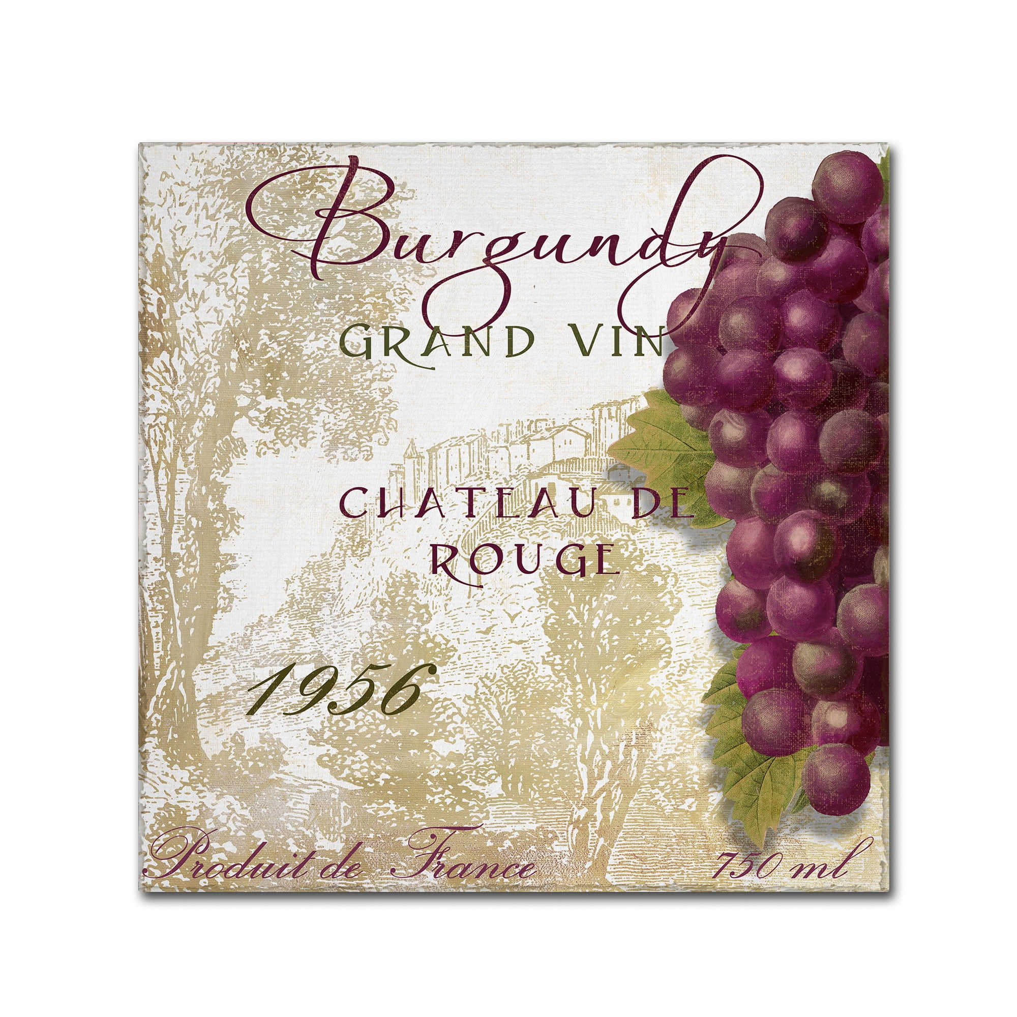 Trademark Fine Art "Grand Vin Burgundy" Canvas Art by Color Bakery