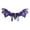 Purple, variant on PILE Halloween Home Decor Halloween Dinosaur Costume Role Play Wing Accessories Decoration
